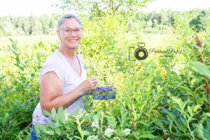 Tracy Pegg of Barkway Farms Picking Blueberries